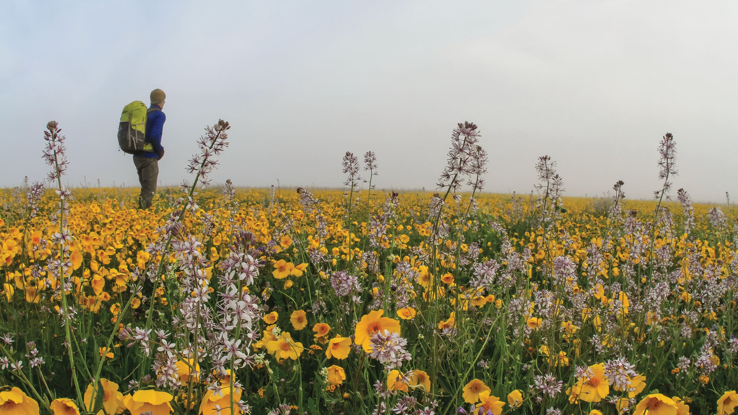 Carrizo Plain