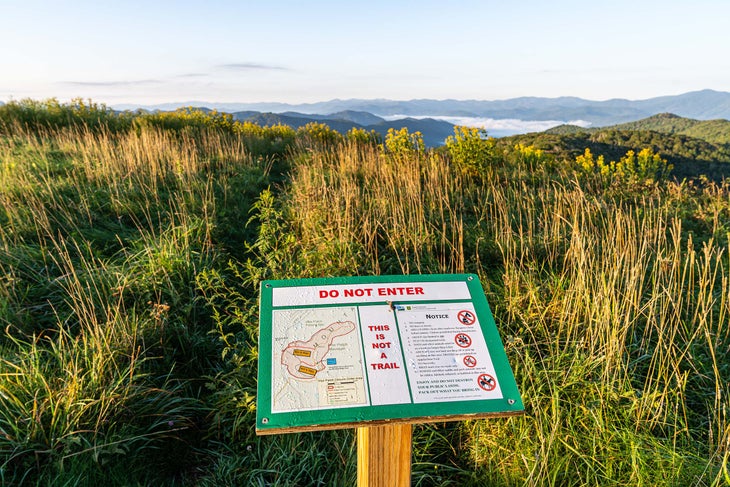 Max Patch