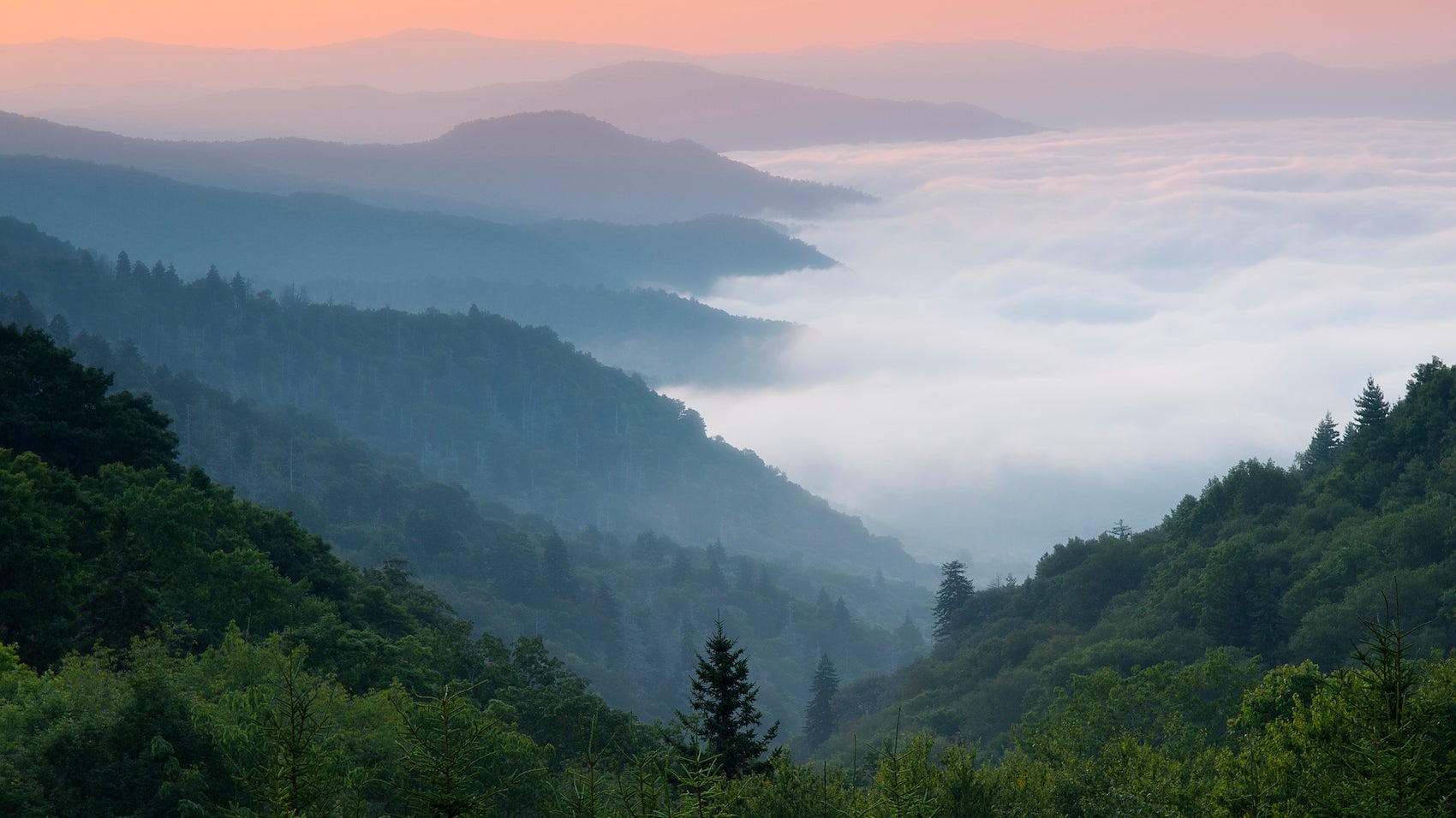 Blue Ridge Mountains at sunrise, Blue Ridge Parkway, Great Smoky Mountains National Park, North Carolina, Appalachian Mountains, USA