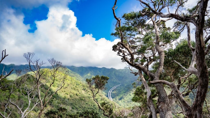 aiea trail