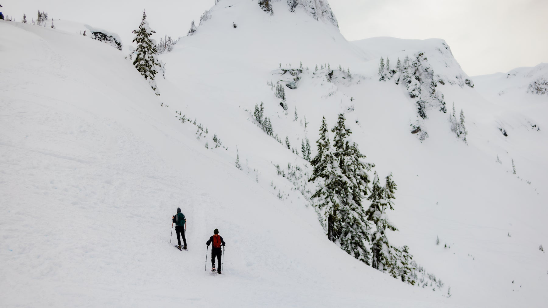 mt baker snowshoers