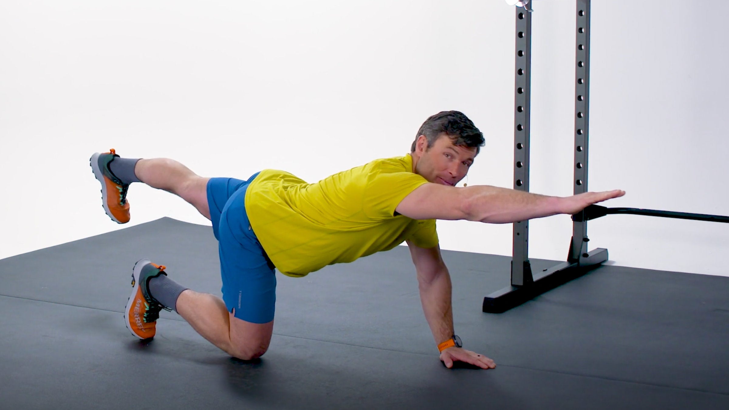 Demonstrating Bird Dogs