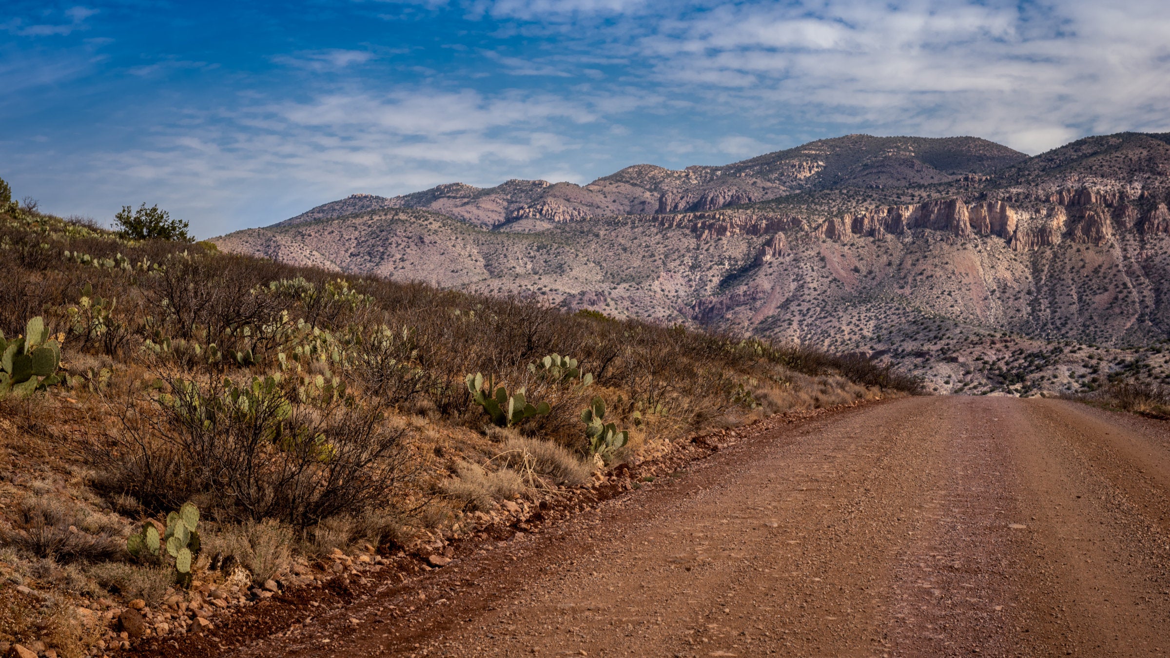 gila national forest