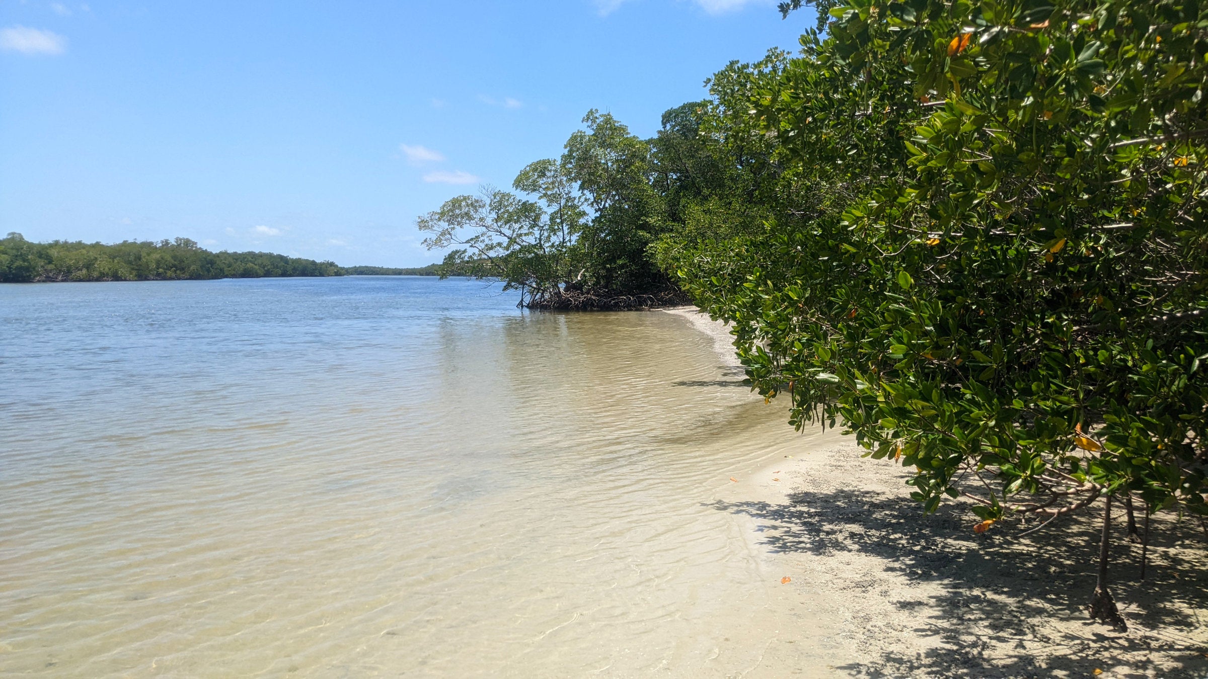 A sandy beach on Sandfly Island in Florida's Ten Thousand Islands.