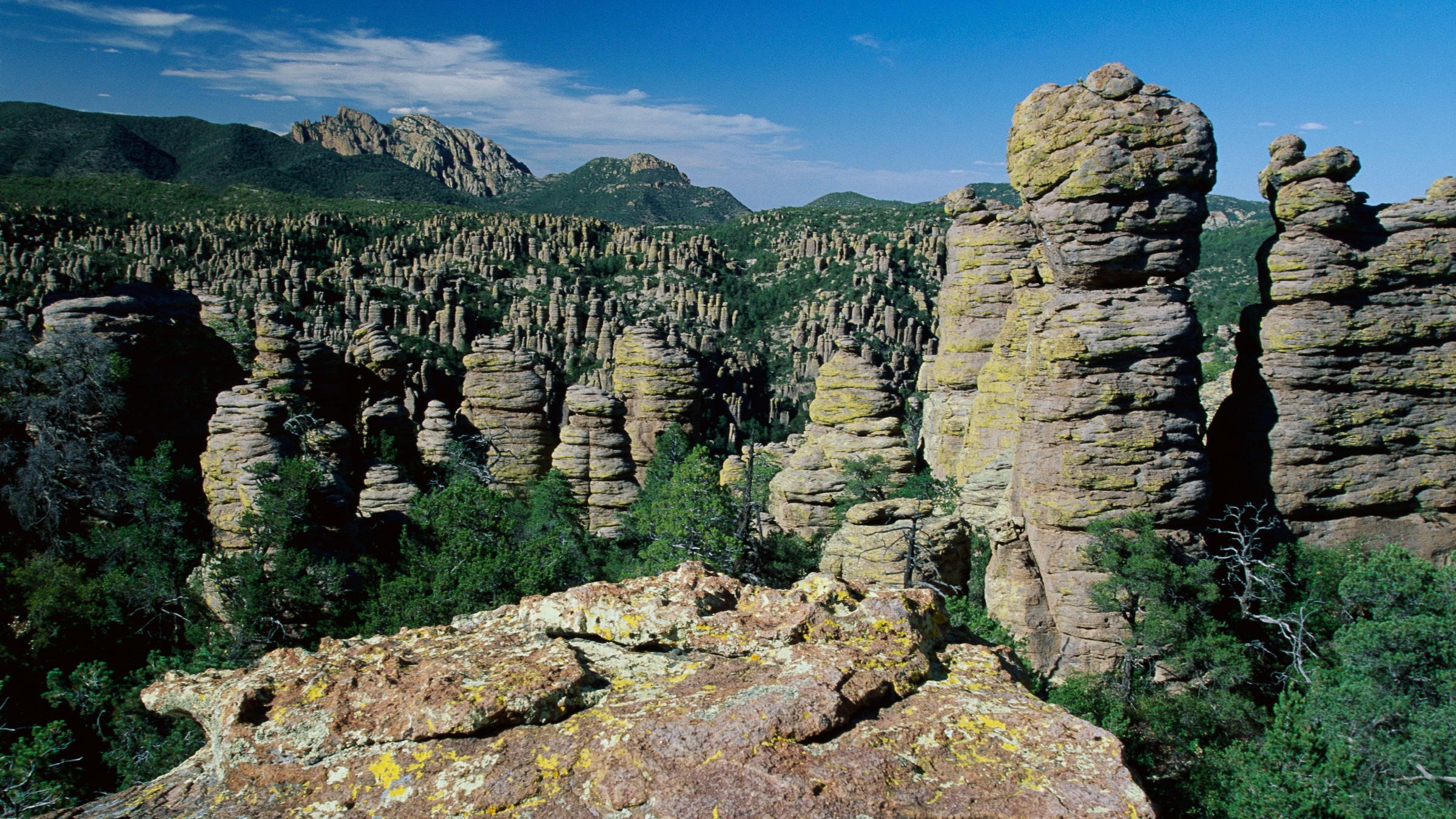 Chiricahua national monument