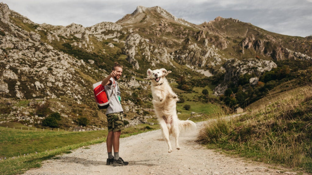 NextImg:Exercising Like My Dog Made Me a Better Hiker