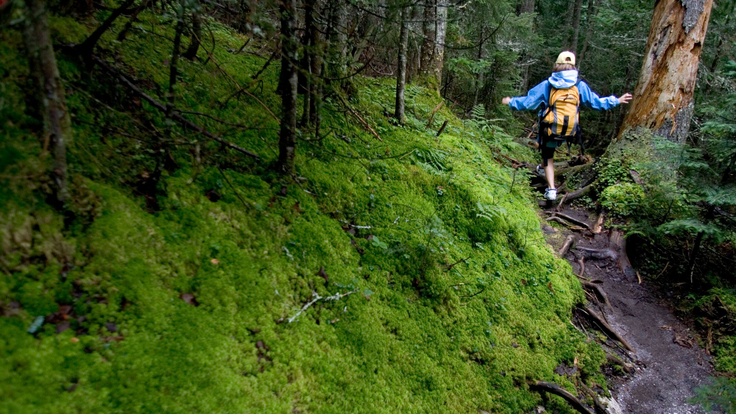 Mossy Trail