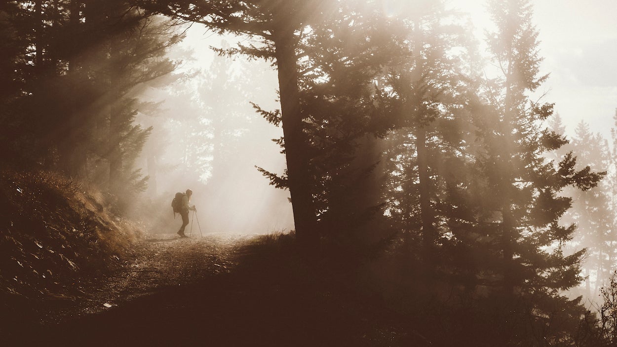 Side view of backpacker standing in forest during foggy weather