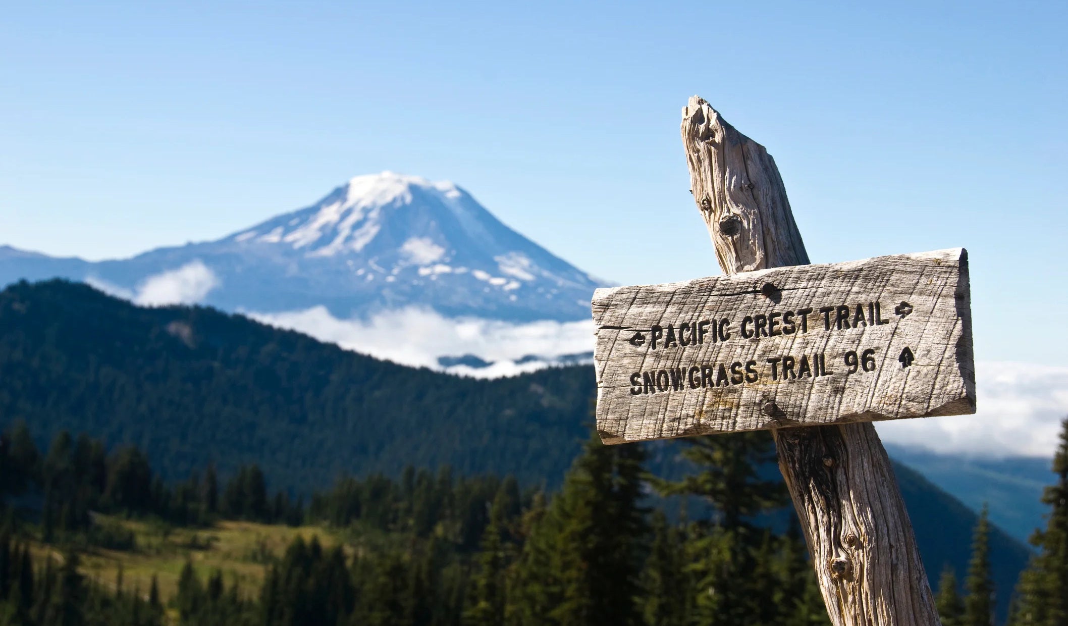 pacific crest trail sign with mountain