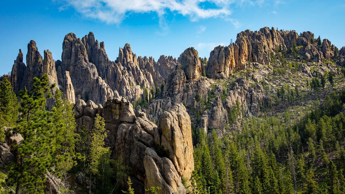The Needles, a beautiful formation of granite spires in the Black Hills of South Dakota. They tower over the surrounding landscape, and in this image, are catching the morning sun.