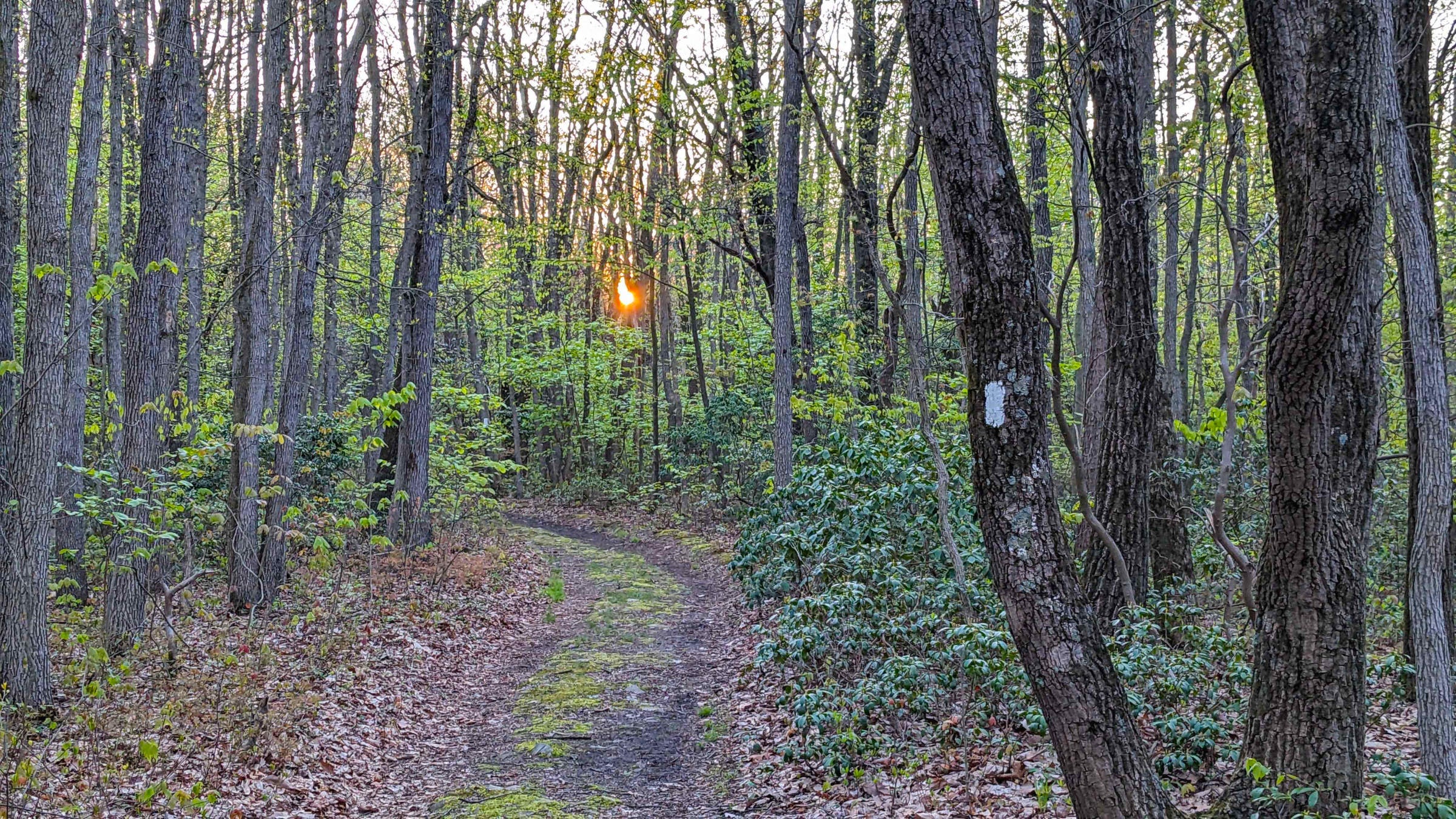 Appalachian Trail in Pennsylvania