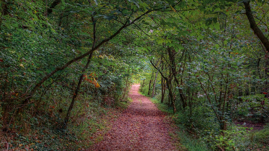 Hiking Trail to Welch Springs missouri