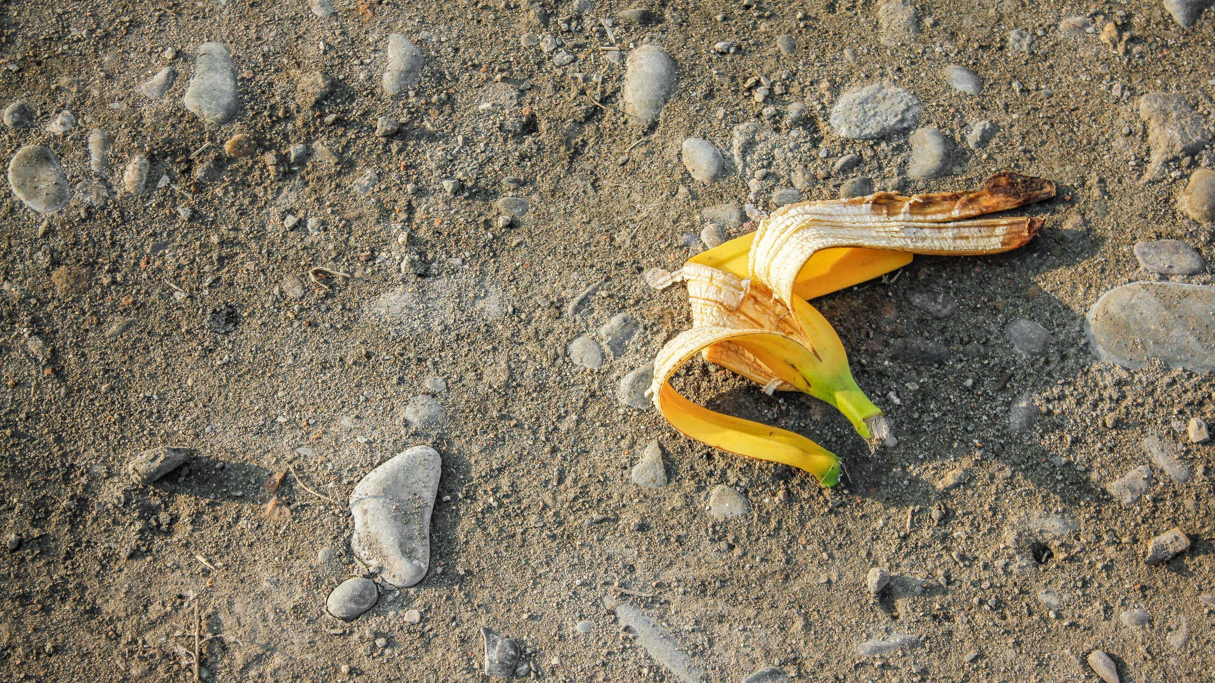 Banana peel on the ground