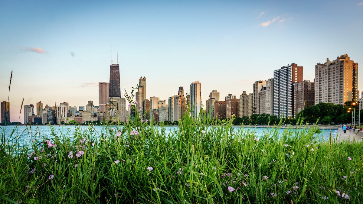 Spring in Chicago, city skyline