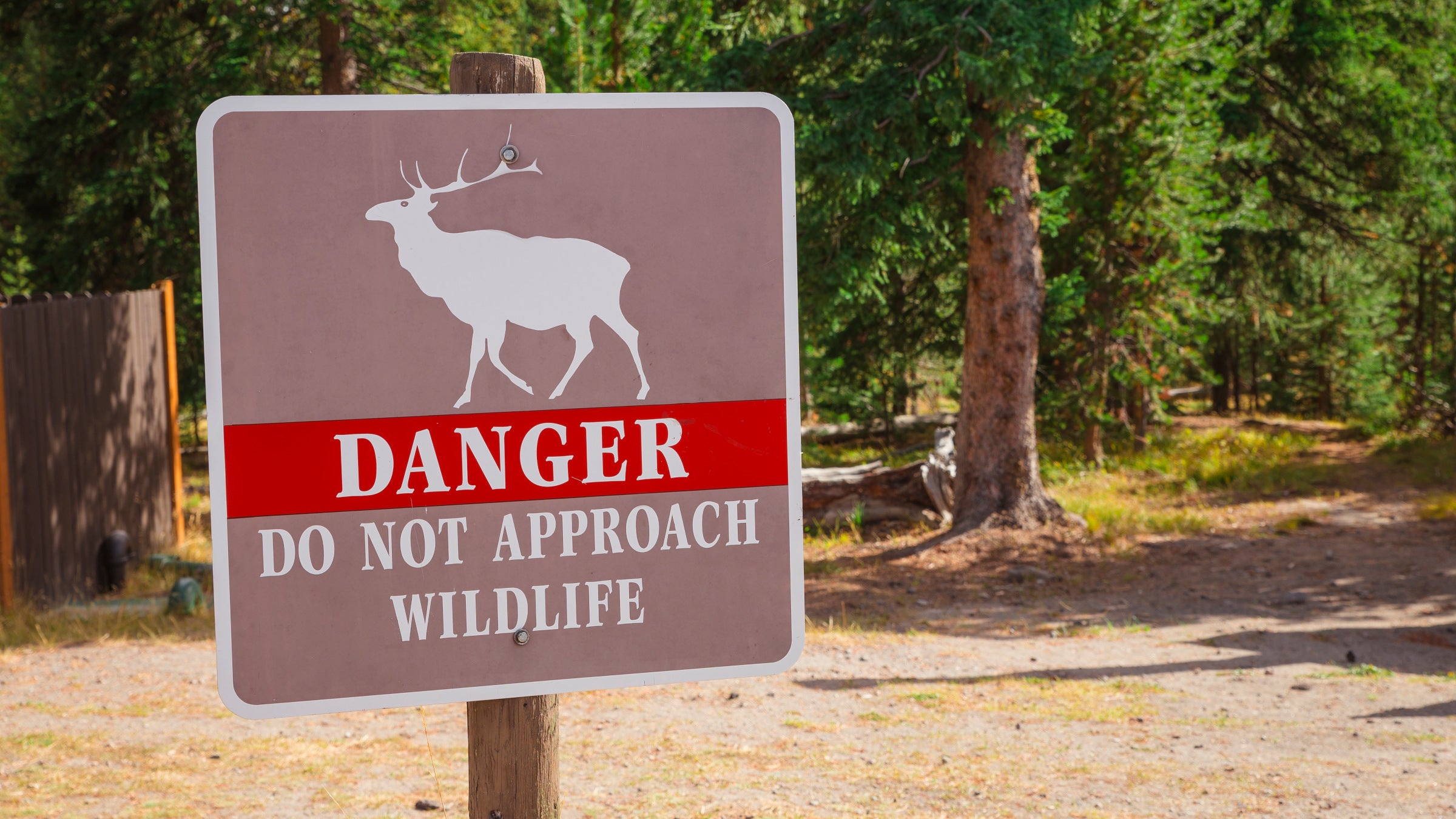 A warning sign tells visitors to stay away from wildlife.