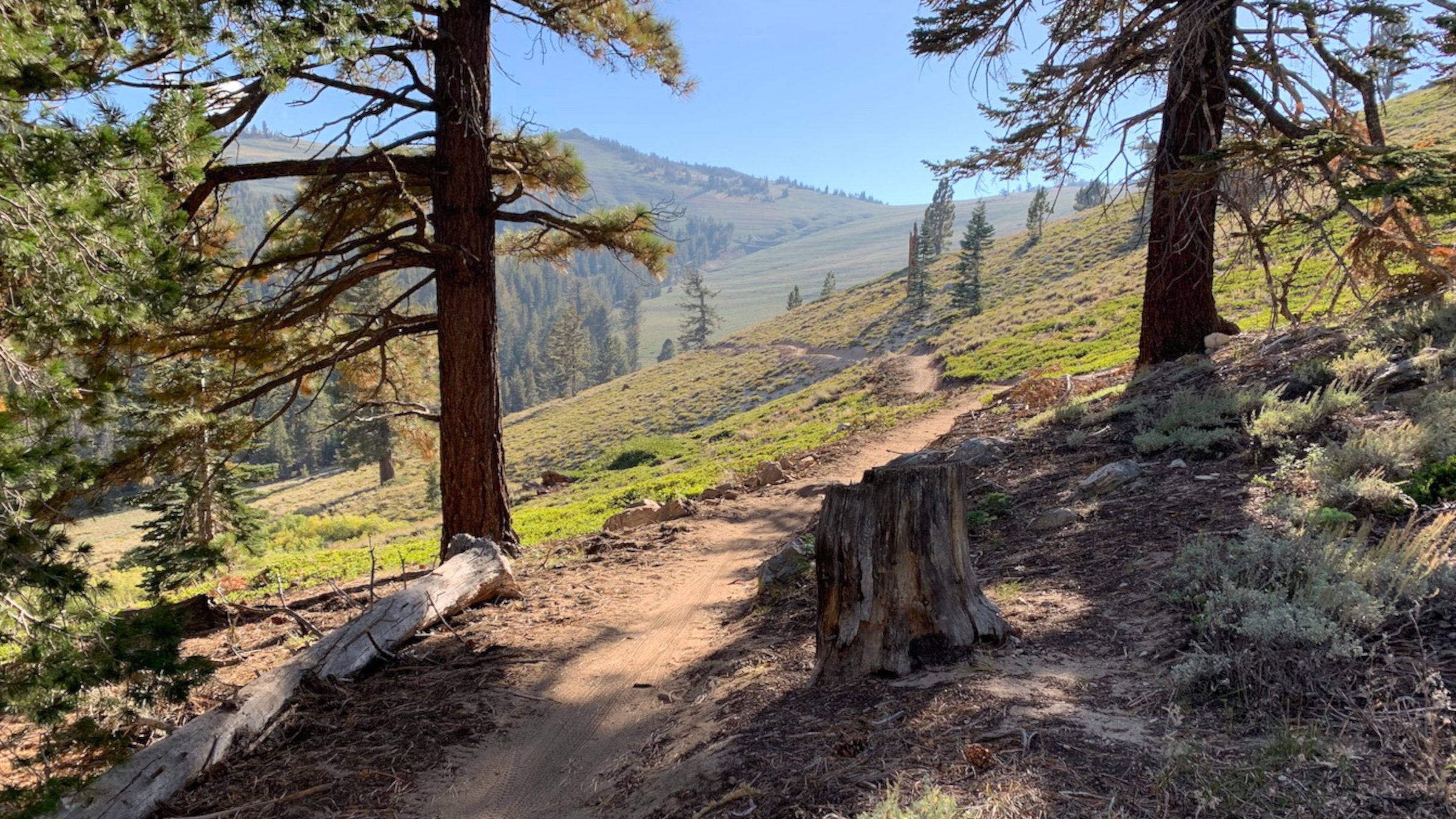 The Capital to Tahoe Trail