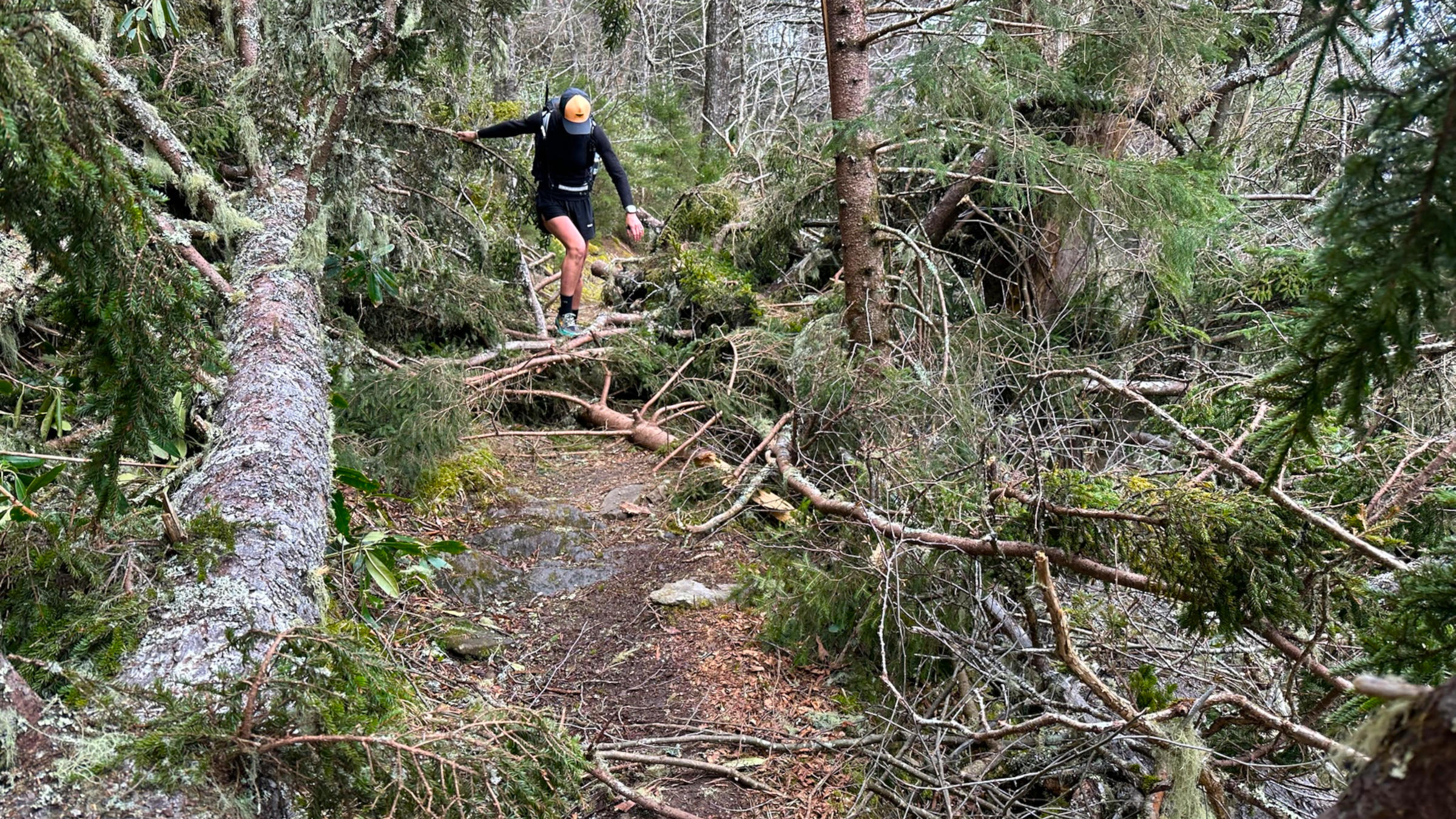 Navigating deadfall on hiking trail