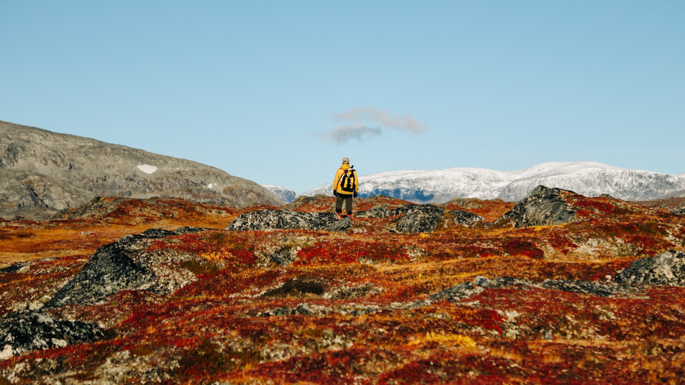 torngat national park
