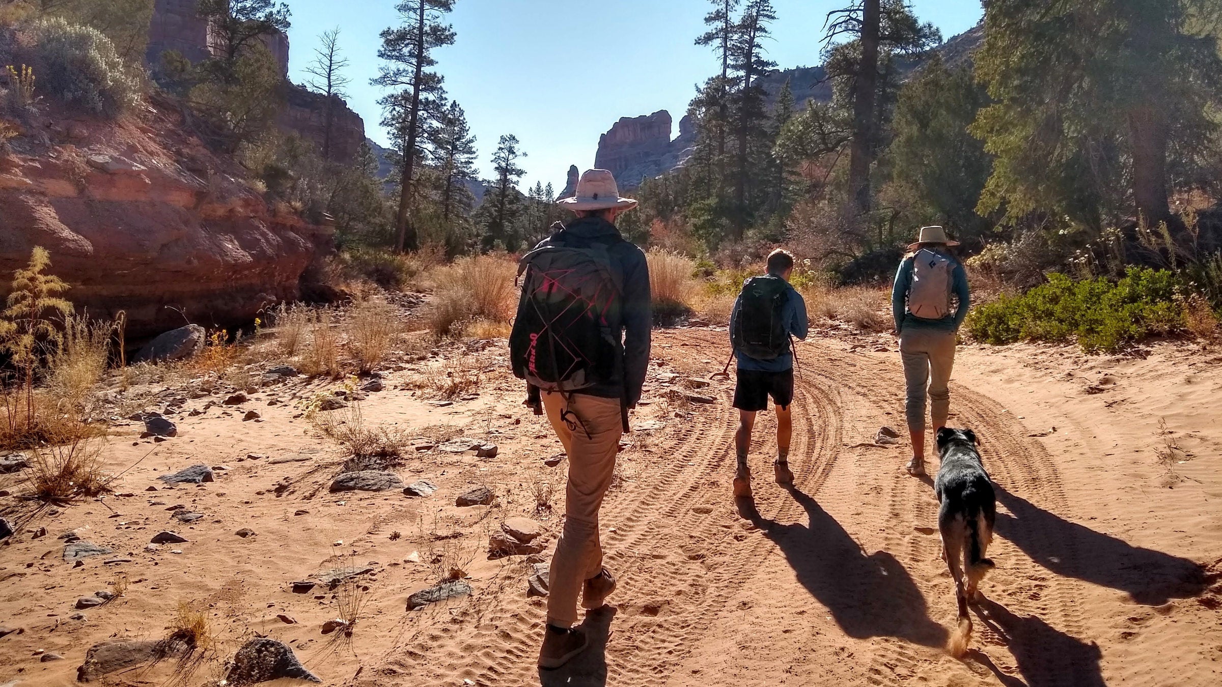 Hikers in Bears Ears