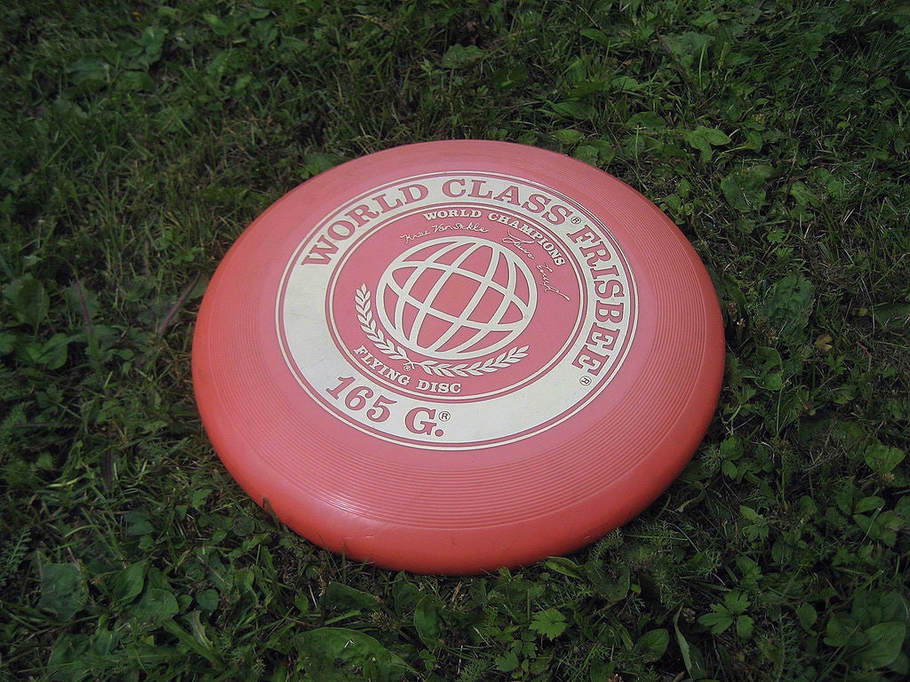 frisbee-pic frisbee