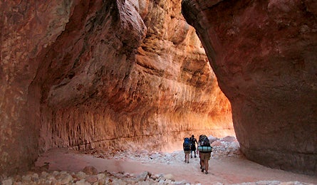 Mtnhard 1007 445x260.jpg 10080 Backpacker_Magazine_trail_tops