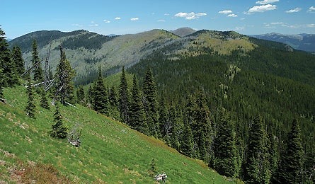 Salmo-Priest Wilderness 11609 salmo_priest