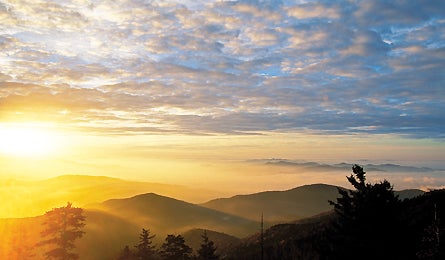 Great Smoky Mountains Kevin Adams 11790 Great Smoky Mountains Kevin Adams
