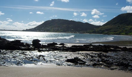 New Zealand Beach Scene 16337 new zealand beach scene