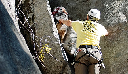 August 09 Yodogs Crevice 445x260 18071 august 09 yodogs crevice 445x260