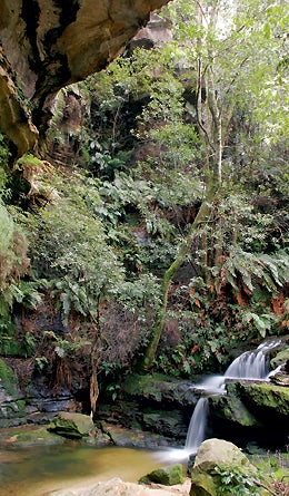 Reader Photo Laura Cascades 445x260 17948 reader photo laura cascades 445x260