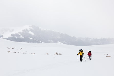Slideshow Yellowstone 2 445 28533 slideshow yellowstone 2_445