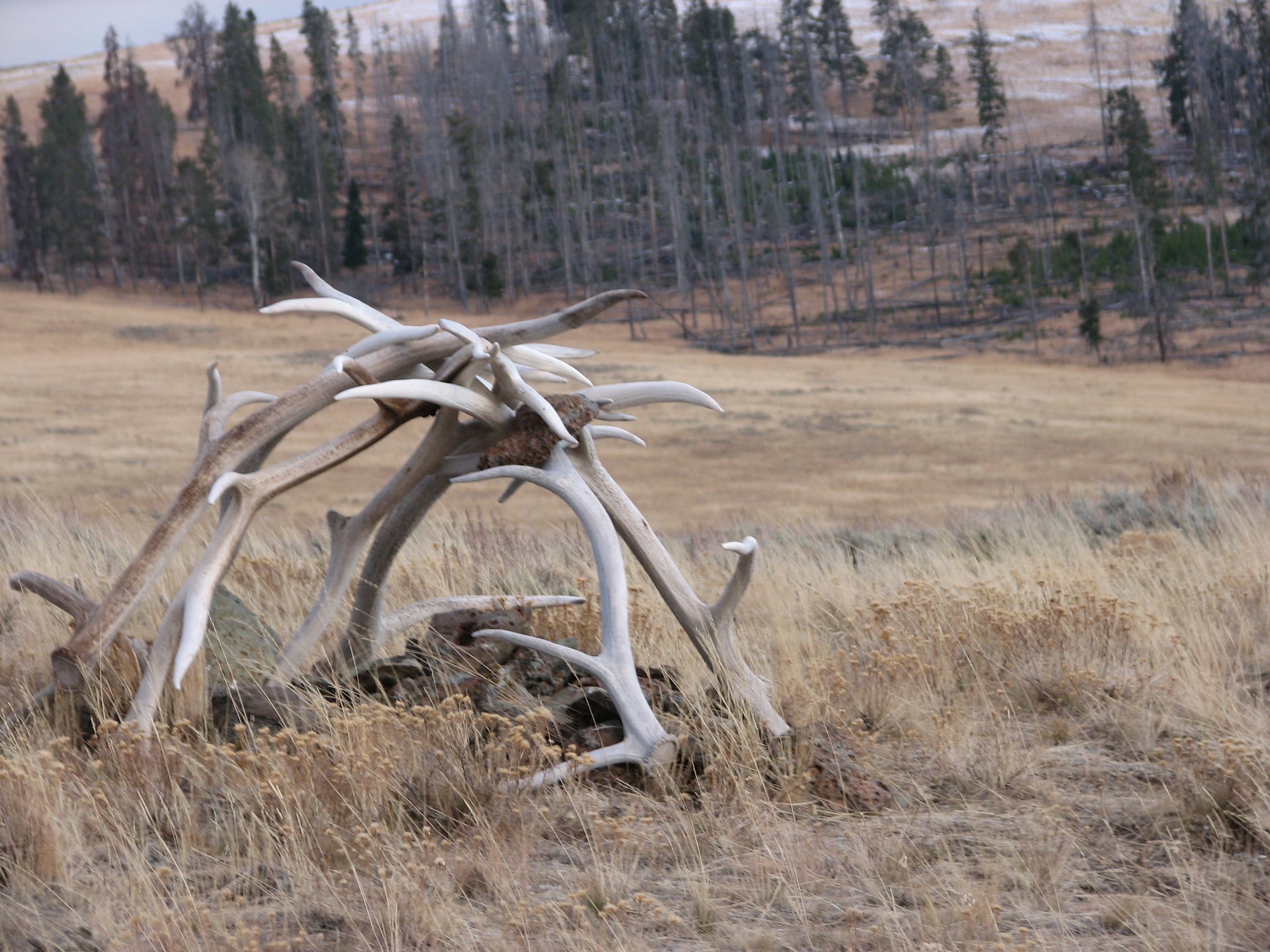 Antler Cairn None