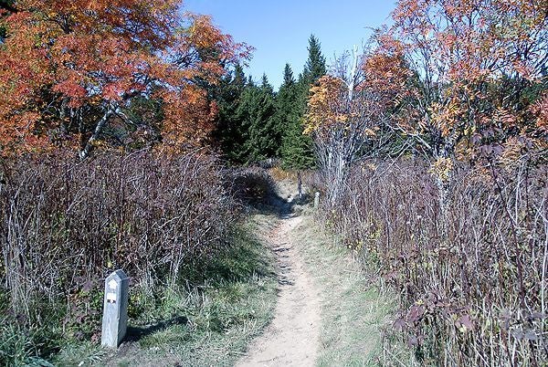 Art Loeb Trail None