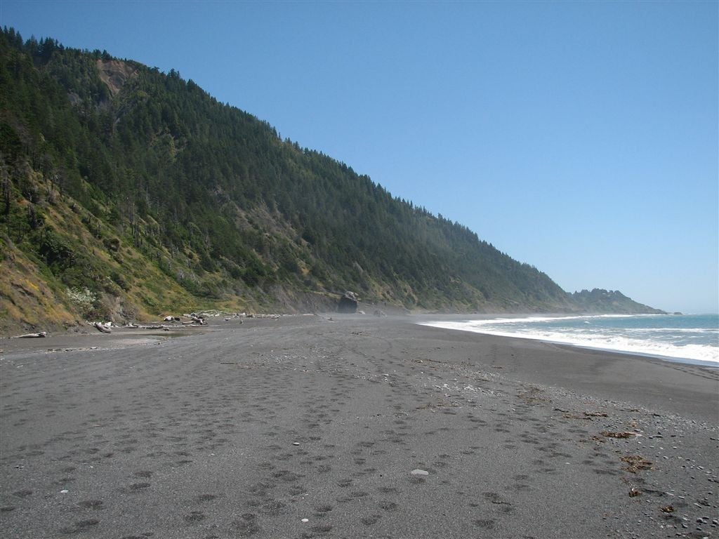 Black Sand Beach None