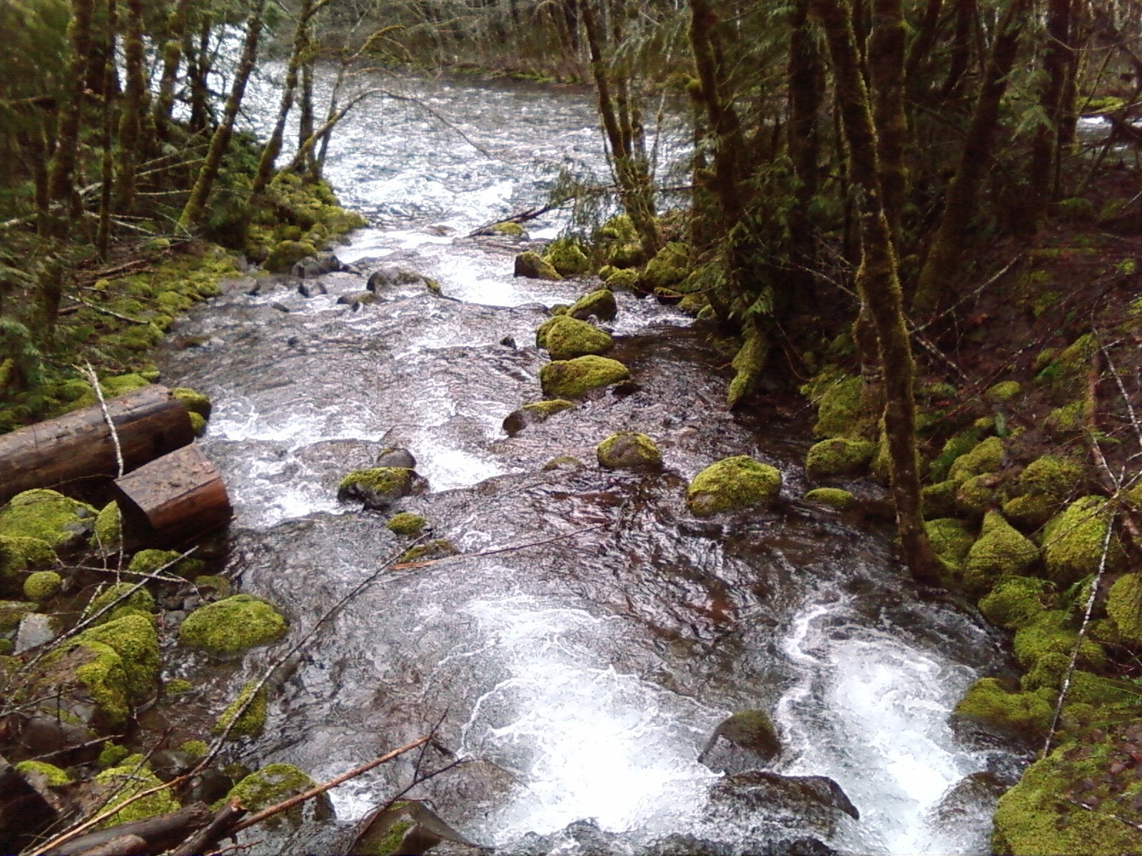 Boulder Creek None