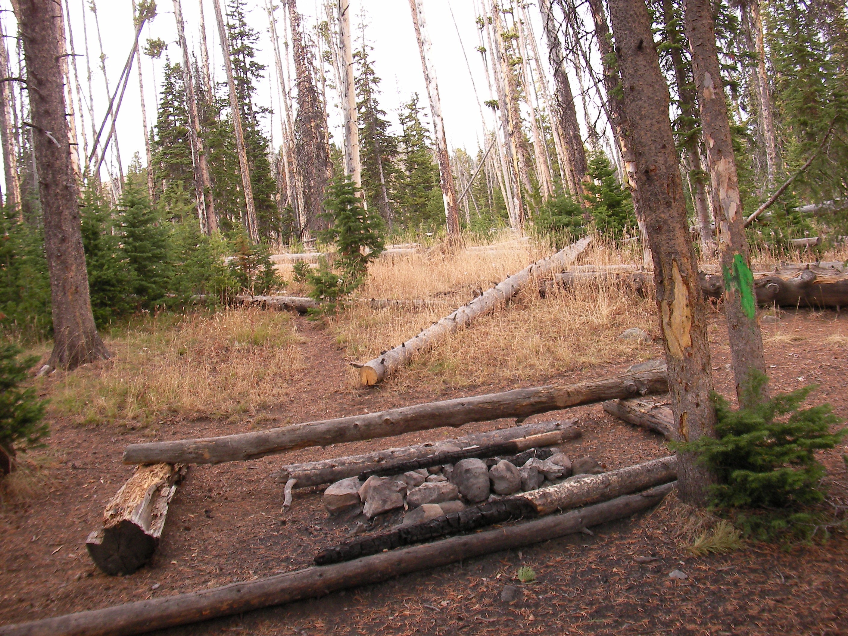 Campground 4E3 None