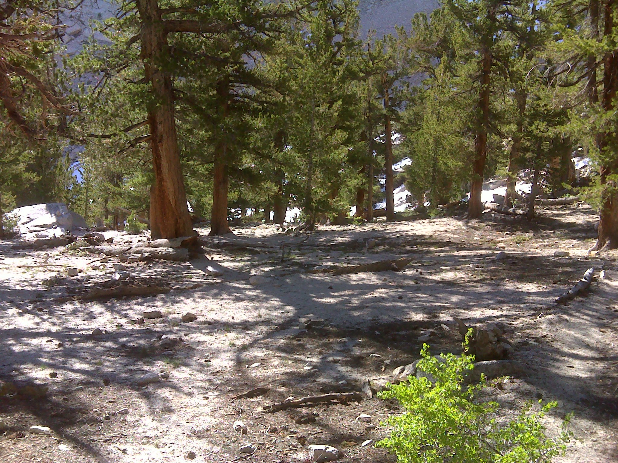 Campsite None
