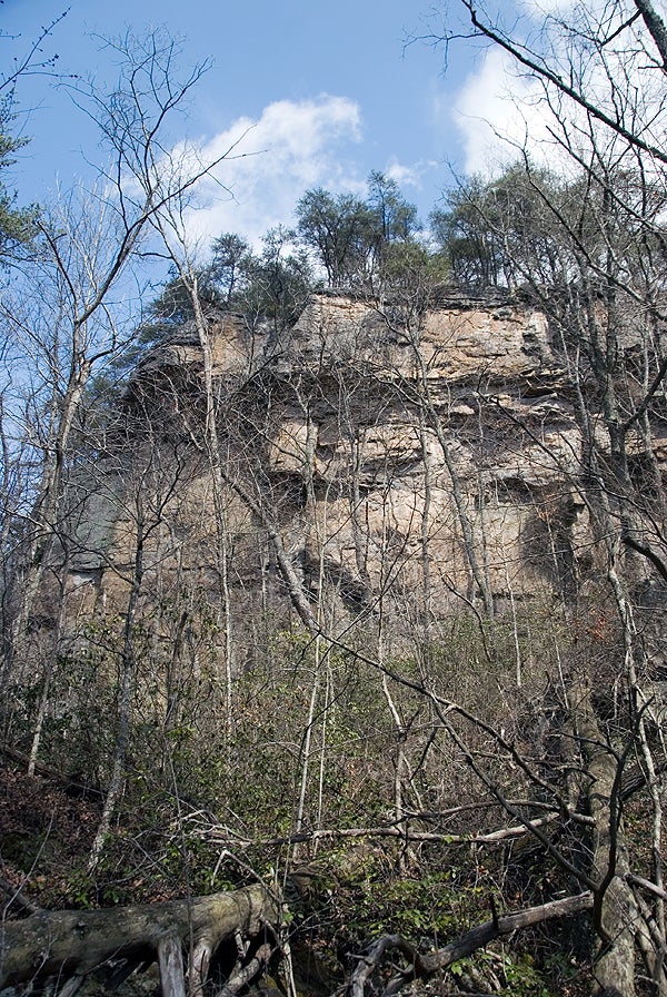 Canyon Cliffs None