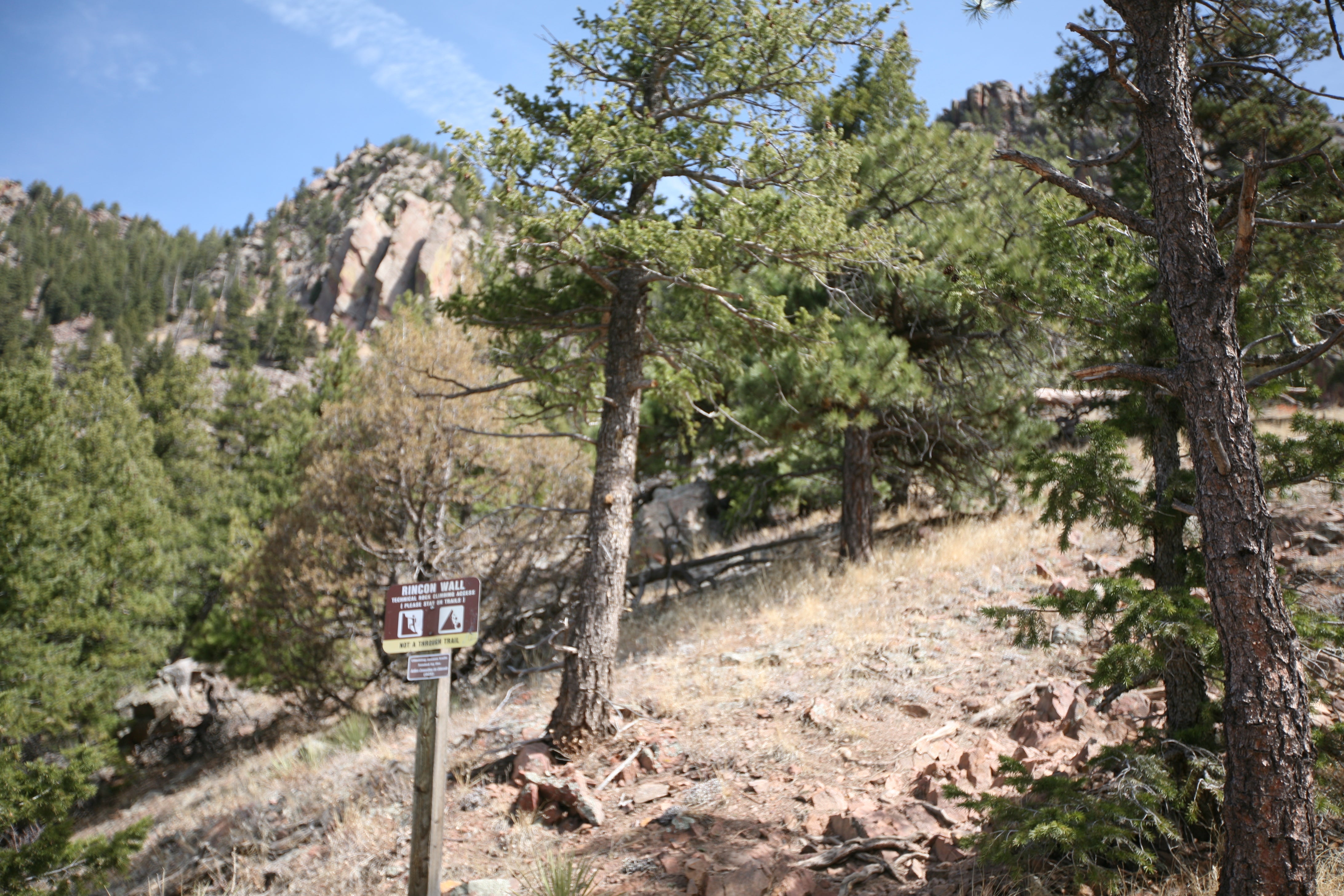 Climbers Junction None