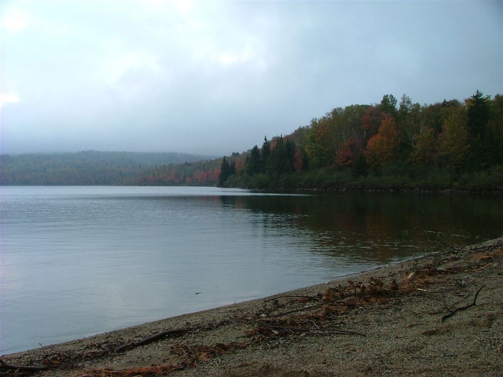 Crawford Pond None