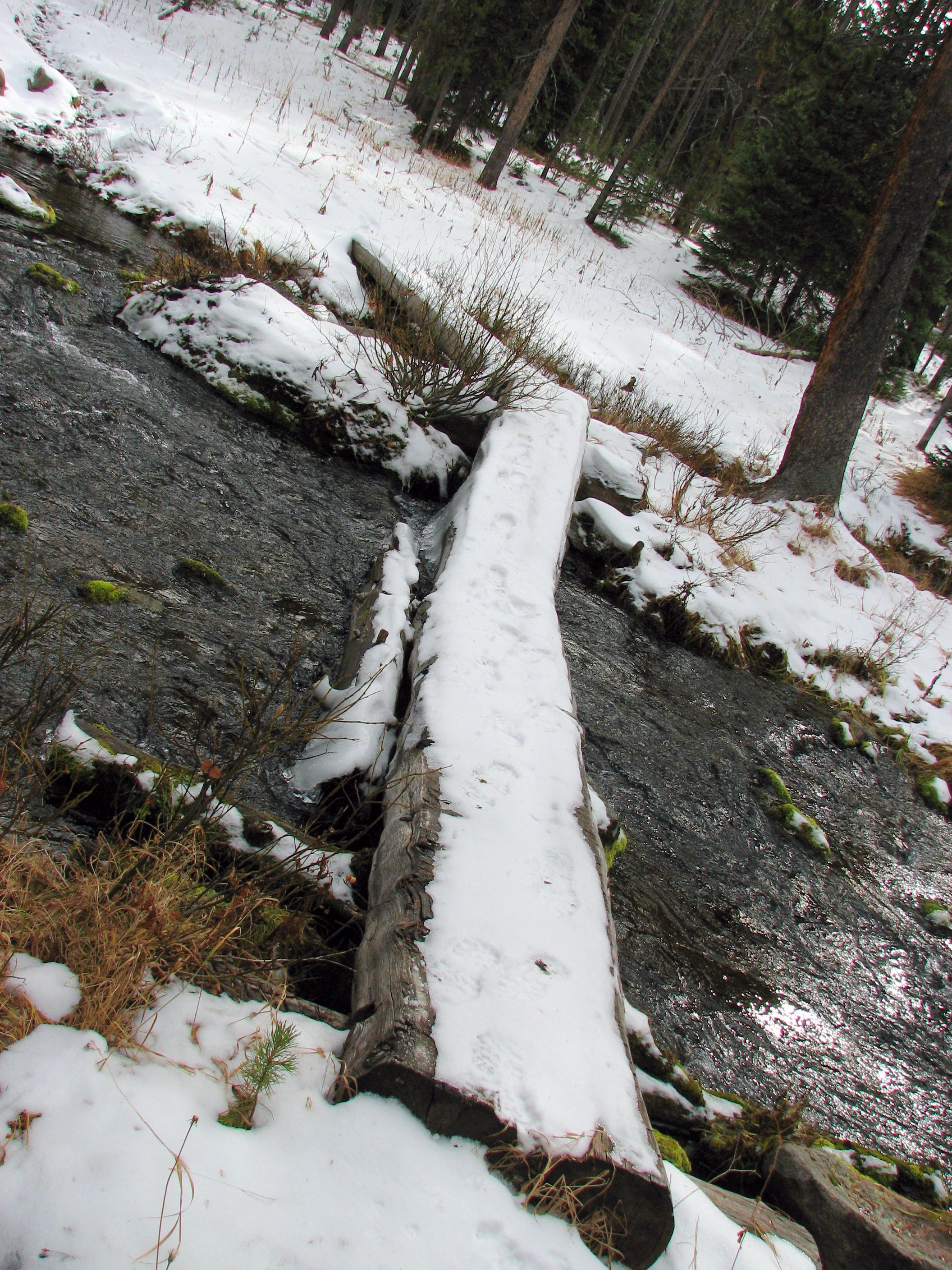 Creek Crossing None