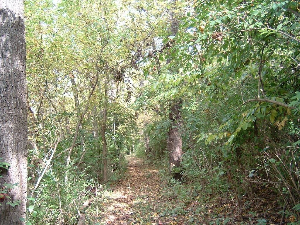Deer hideout None