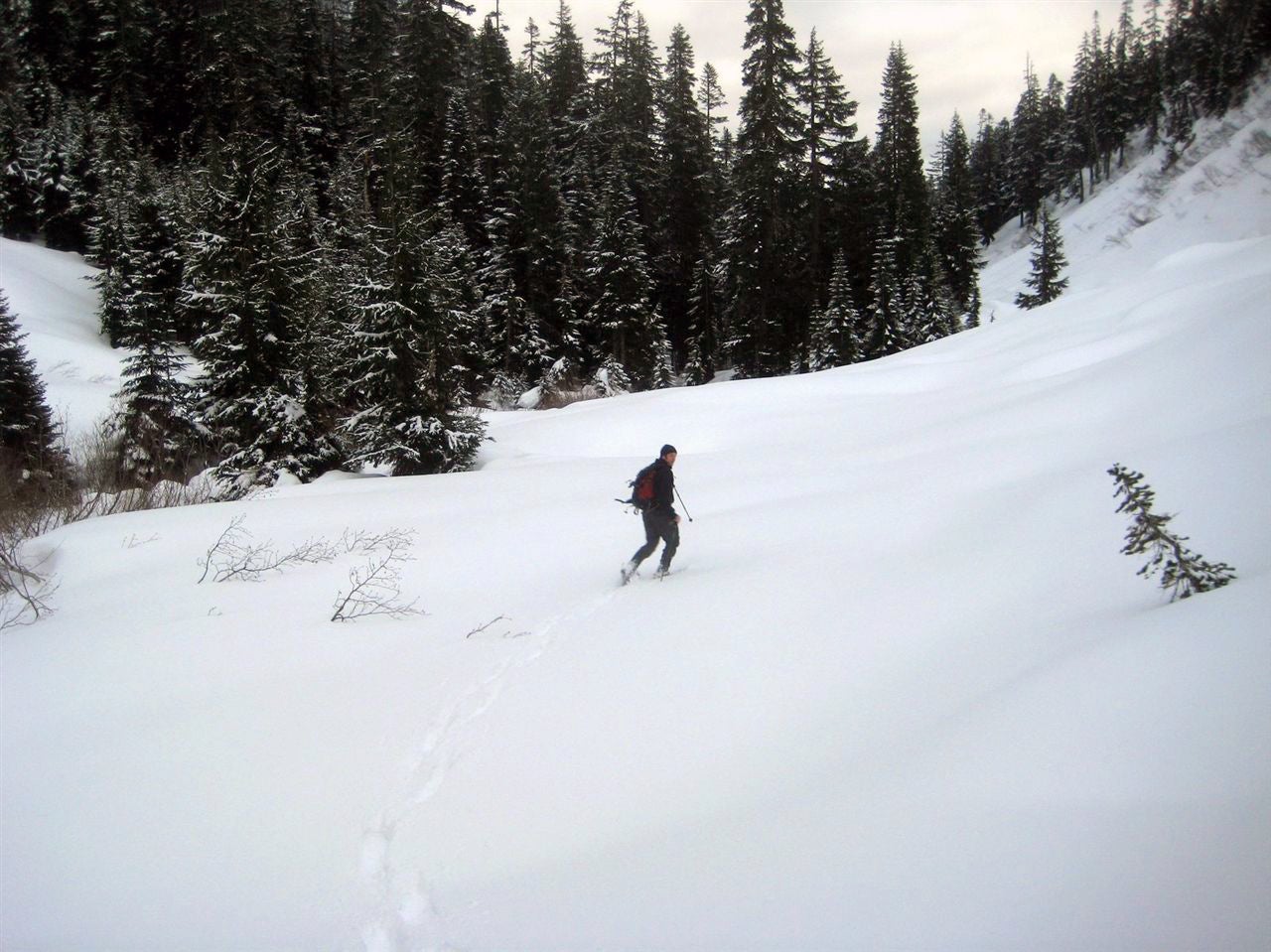 Denny Creek Valley None