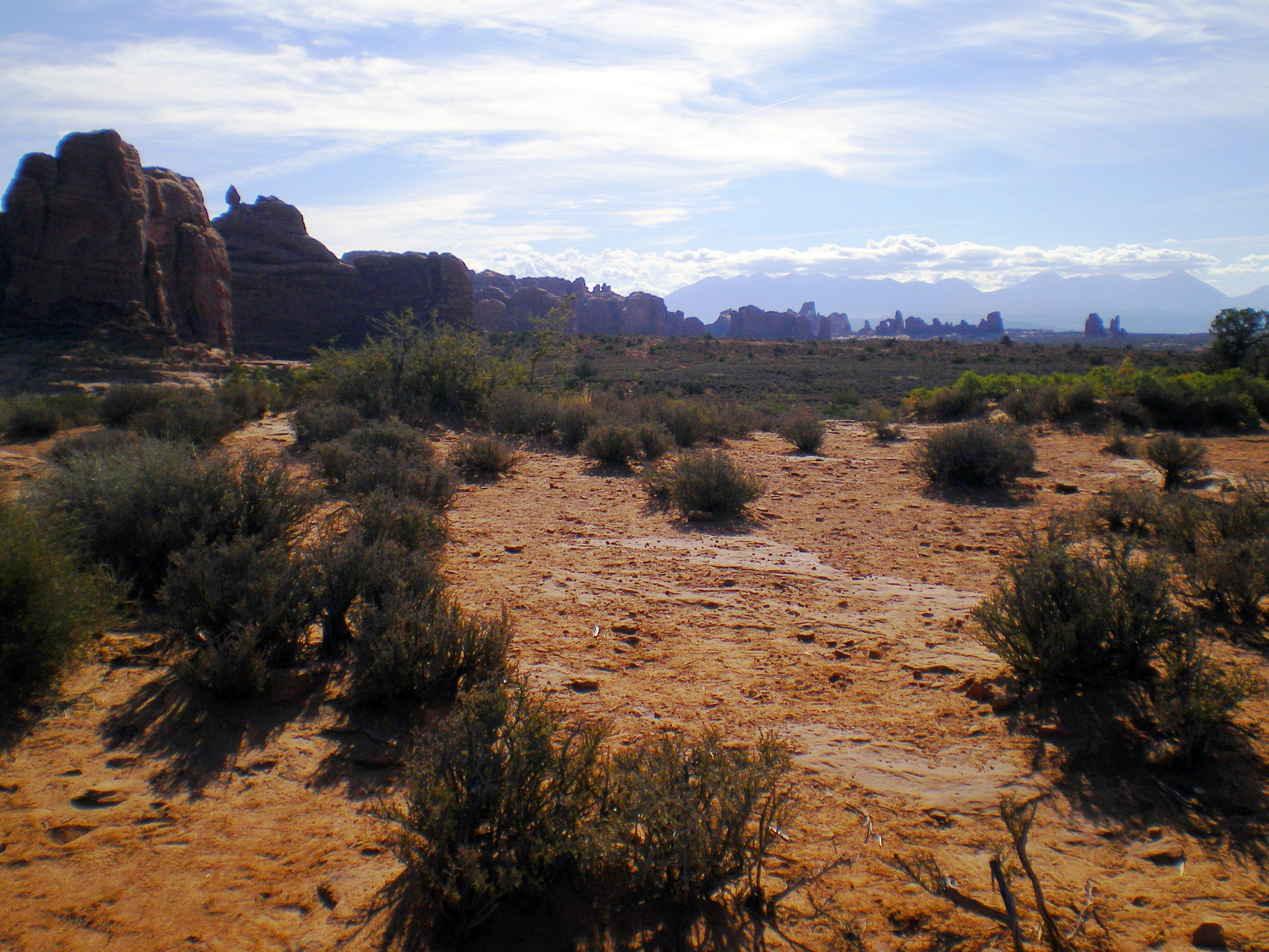 Desert Views None
