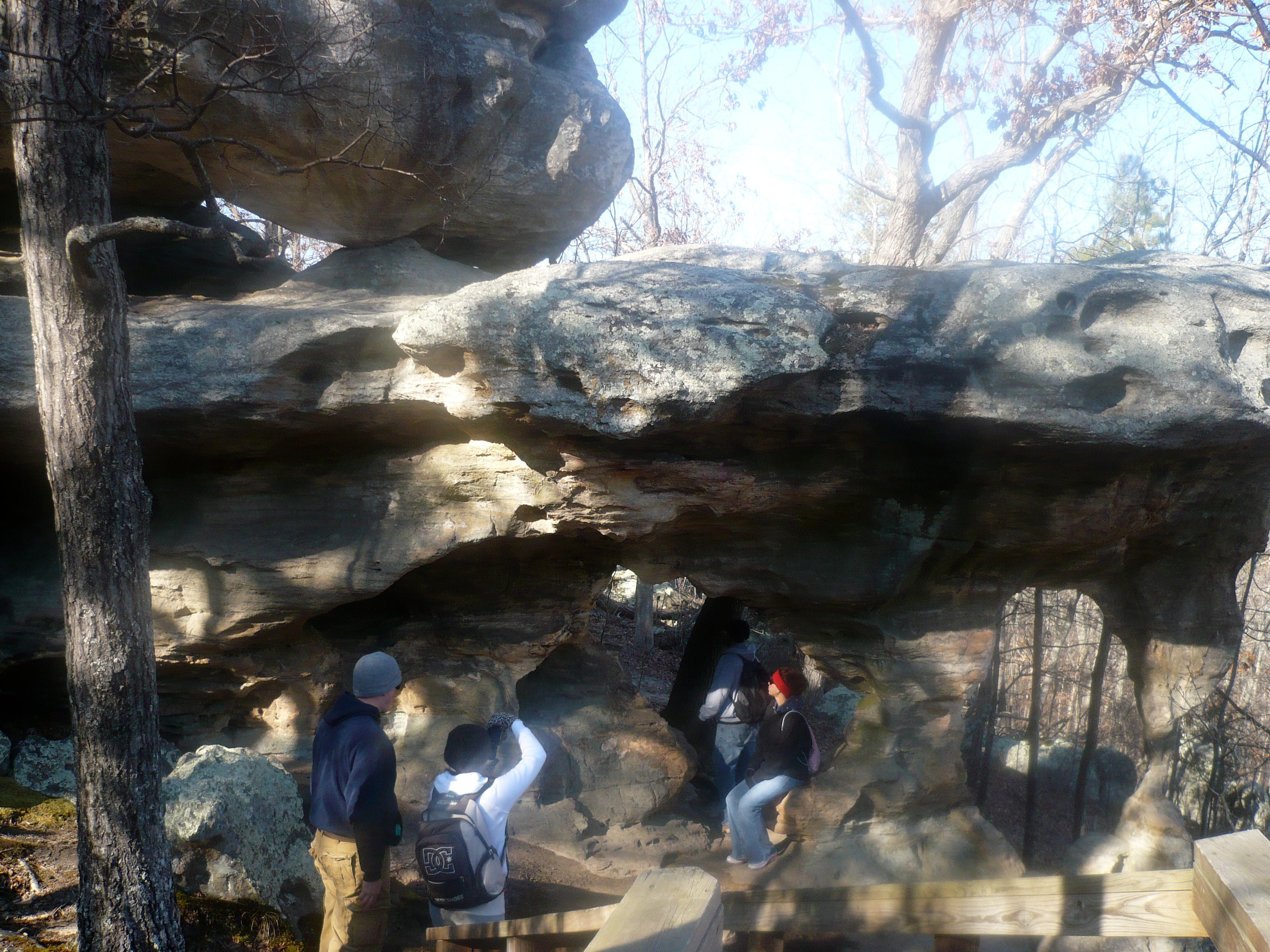 Double Arch None