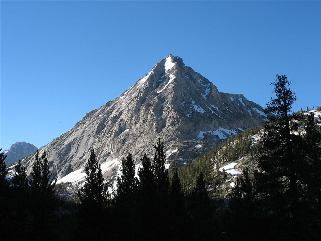 East Vidette None