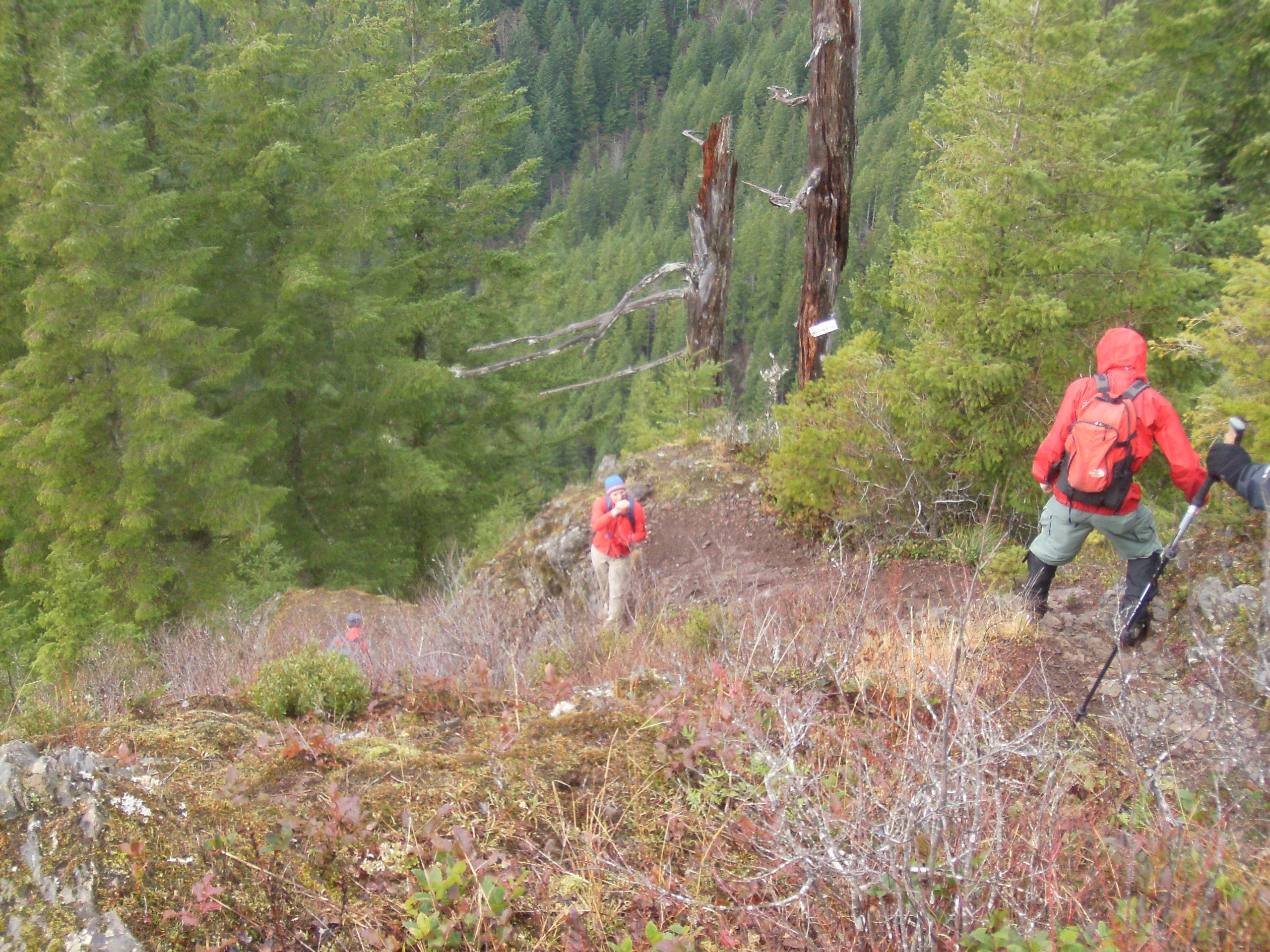 Elk descent - pic None