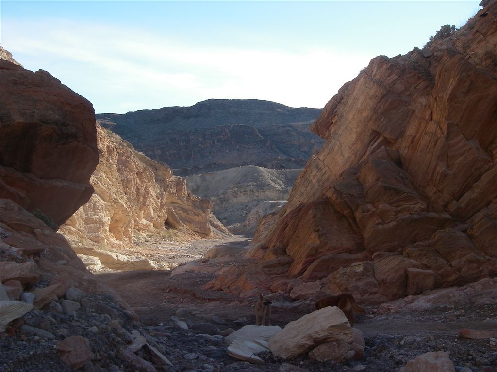 End of the narrows None
