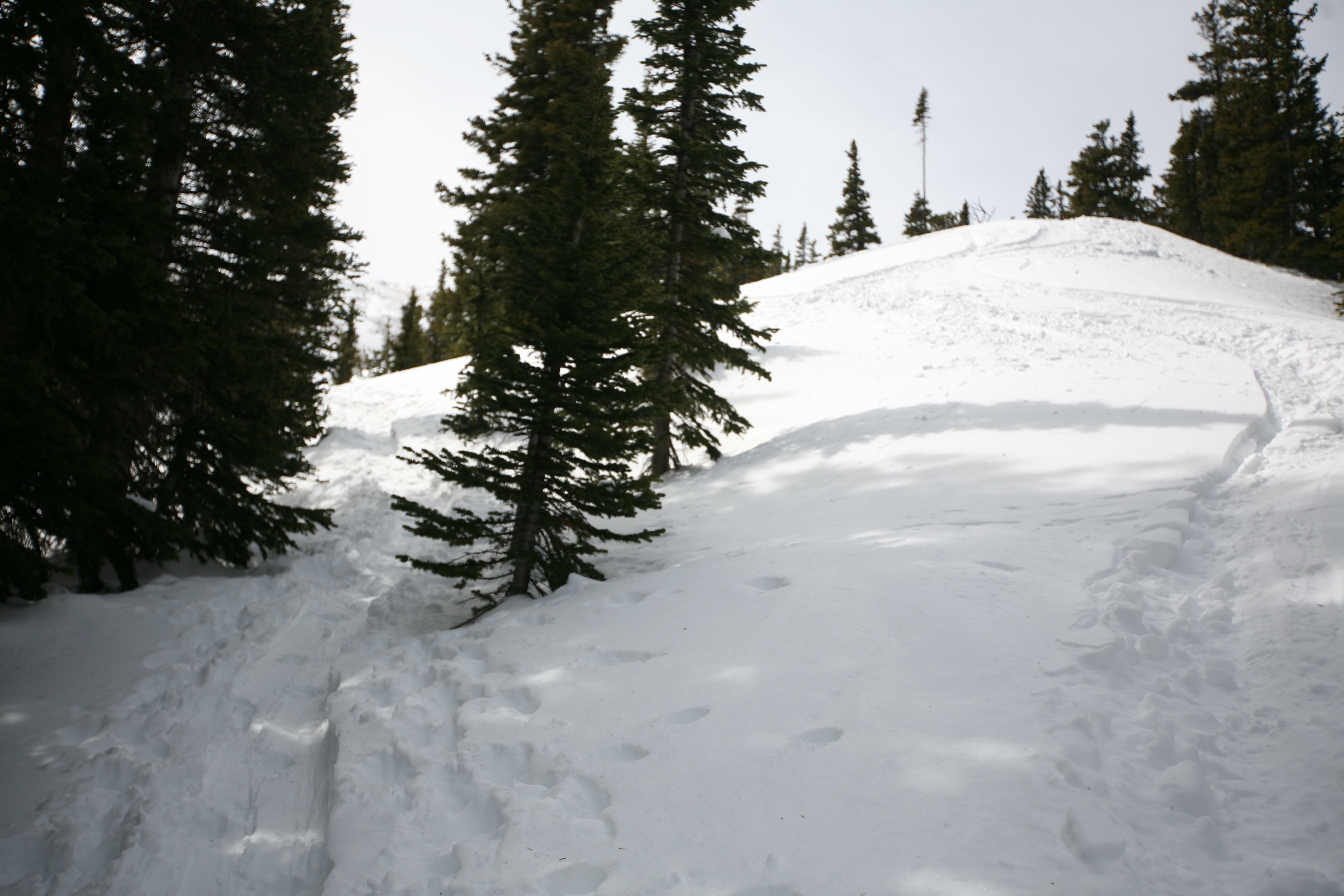 False Summit None