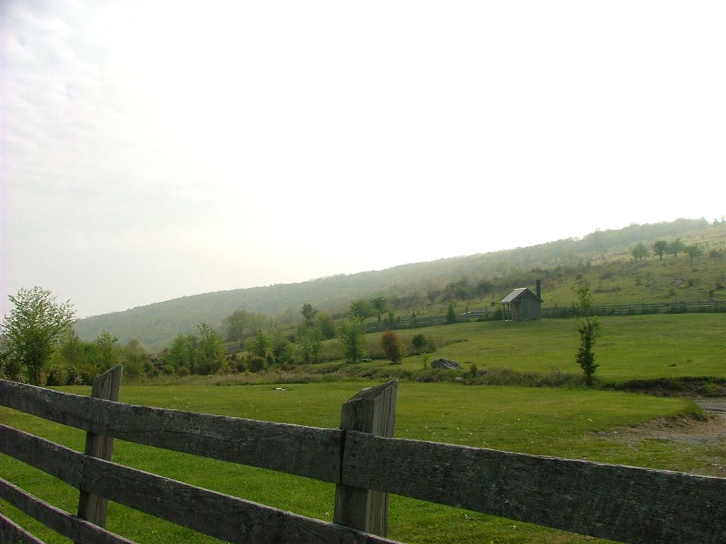 Fields None